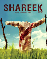 Shareek